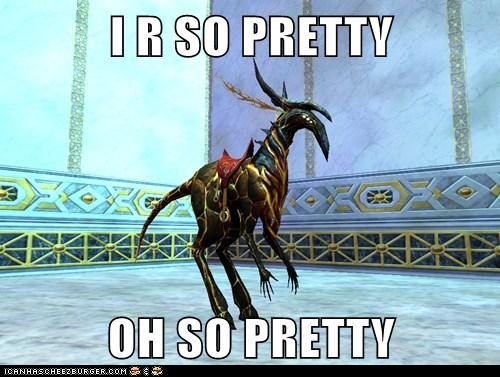 EverQuest  News  Do Quest Rewards make you LOL?