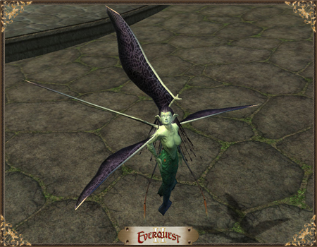 Faerie Petamorph